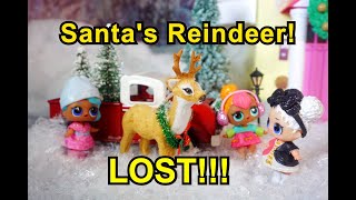 LOL SURPRISE DOLLS Find Santa&#39;s Reindeer!