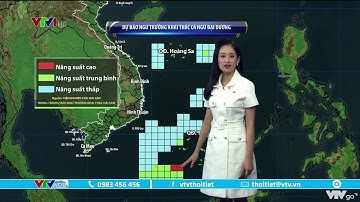 Bản tin thời tiết 9h10 - 3/10/2022: Dự báo ngư trường khai thác cá ngừ đại dương | VTVWDB