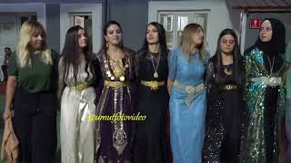 Muhteşem Hakkari Düğünleri 2021 New Çift Koçer Halayı