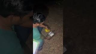 Rat snake..non-venomous..small contribution towards saving Mother Earth and its creations🧿🙏🧿