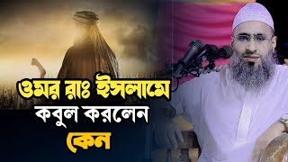 কন্ঠ নয় যেন বাশির সুর || মুফতি আব্দুল মোমেন মুরাদাবাদী ||Mufti Abdul Momen Muradabadi New Waz 2023