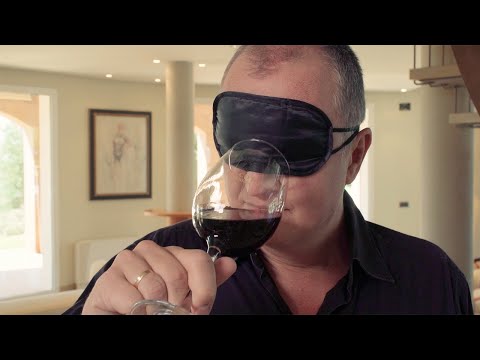 Cómo reconocer FÁCIL los aromas del vino I WineClass EP2 - El Coto de Rioja