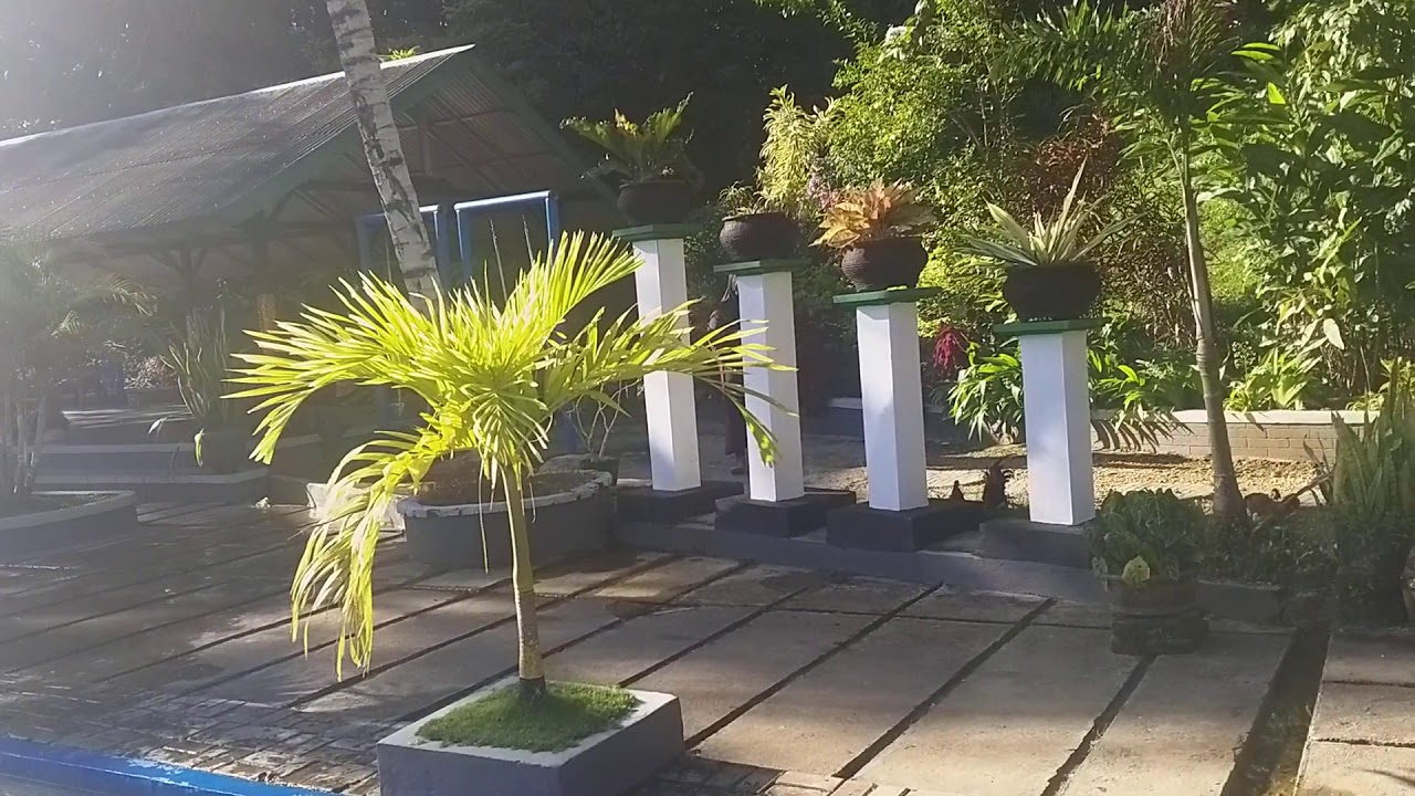 Kelapa gading - YouTube