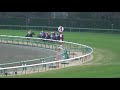 (HD画質再アップ)2006年12月24日有馬記念　ディープインパクト引退レース