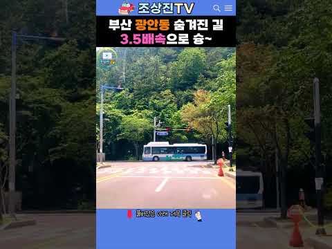 부산 광안동 숨겨진 길 3.5배속으로 슝💨 #부산 #광안동 #드라이브