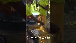 Bata Fish Curry of Grandpa for Old Age People