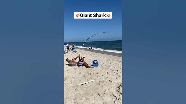 🦈Giant Shark🦈 #shorts #ny #longisland #beach #fish #fishing #shark #florida #sharkfishing #newyork