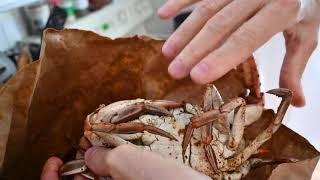 Maryland Crab in Pasadena Maryland part 1
