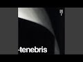 Capture de la vidéo Scarab (Original Mix)