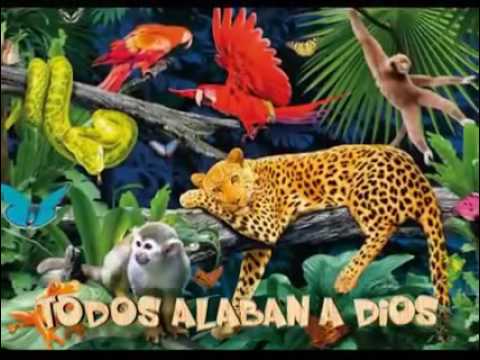 Los animales - YouTube