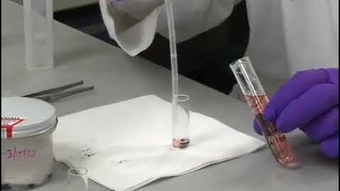 Preparation of Cell Blocks from Cytology Samples with a Predominance of Individually Scattered Cells