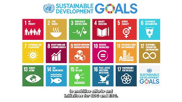 SME Green Video: Start Small, Start Now