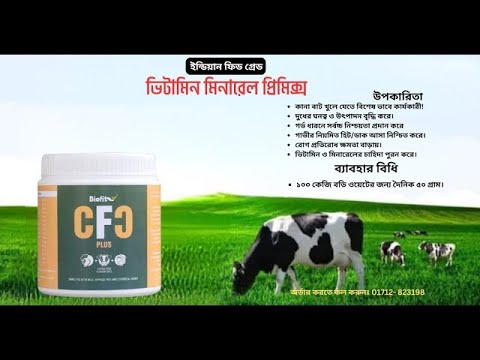 CFC PLUS কানা বাট কত দিনে খুলে?