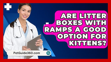 Are Litter Boxes With Ramps A Good Option For Kittens? - PetGuide360.com