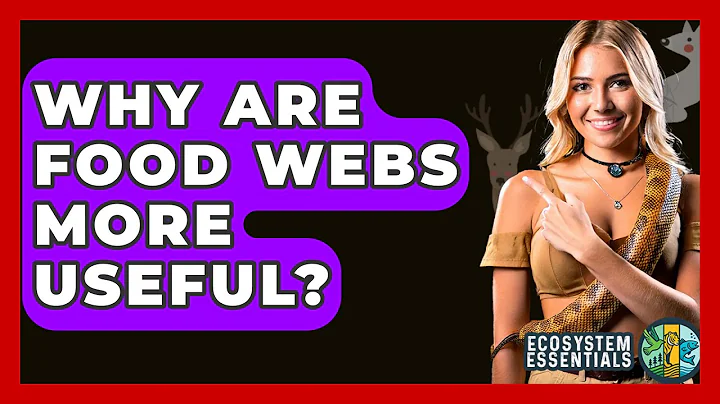 Why Are Food Webs More Useful? - Ecosystem Essentials