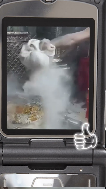 Ujjain Mahakal Puja शिव पूजा#shiv #puja #mahakal #mahakalstatus #mahakaleshwar #shivastatus #shorts