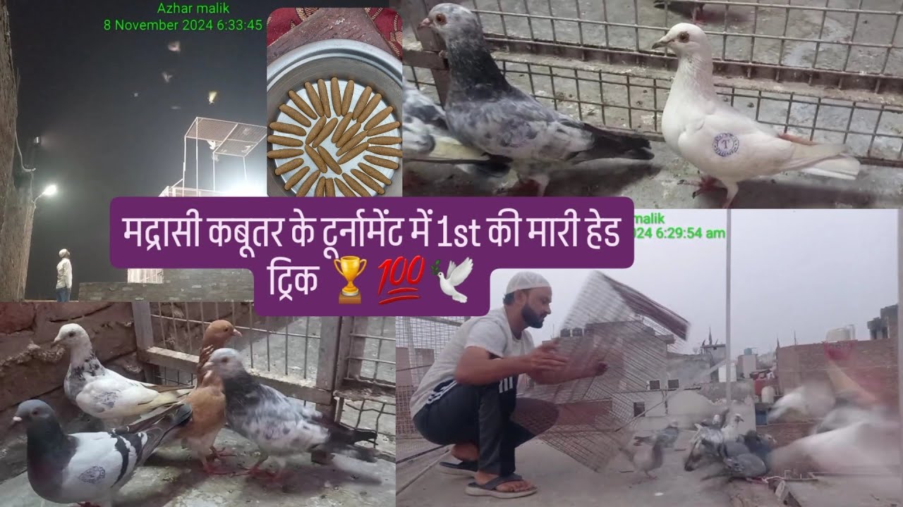 Delhi ke tournament me 1st ki lagi hat trick 🏆💯 || Delhi tournament me lgatar 3 bar 1st aay 🕊🏆❤️