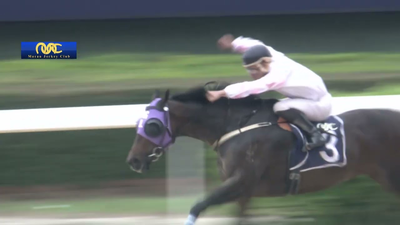 2022-09-24 Race 6(0012) - THE CHESTER