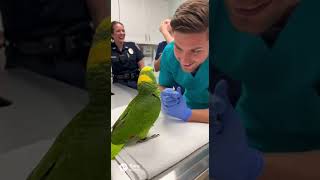 20251130 1116 01kb9c26k6fjbvrvn#funny #lifeisbutadream #birds #nov22 #haveitoldyoulatelythatiloveyou