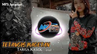 TETANGIS MAGETAN Voc TARISA KASOL _ AN PRO audio