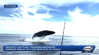 'Definitely rattling': Fishermen encounter humpback whales up close near Isles of Shoals
