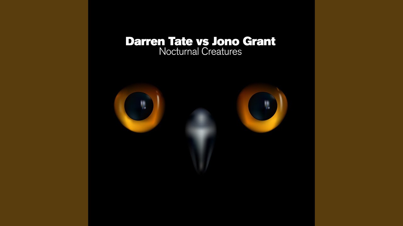 Nocturnal Creatures (Sassot & David Con G Remix)