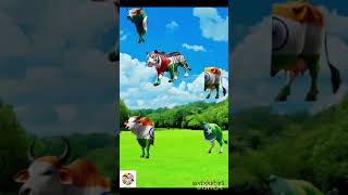 yah Meri Lal gadi ka munh hai#viralshorts #cartoon video 🐄