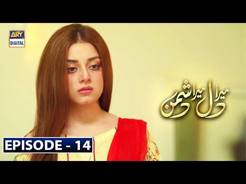 Mera Dil Mera Dushman — Episode 14