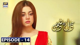 Mera Dil Mera Dushman Episode 14 | 4th March 2020 | ARY Digital Drama