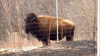 Konza Prairie Biological Station Hike