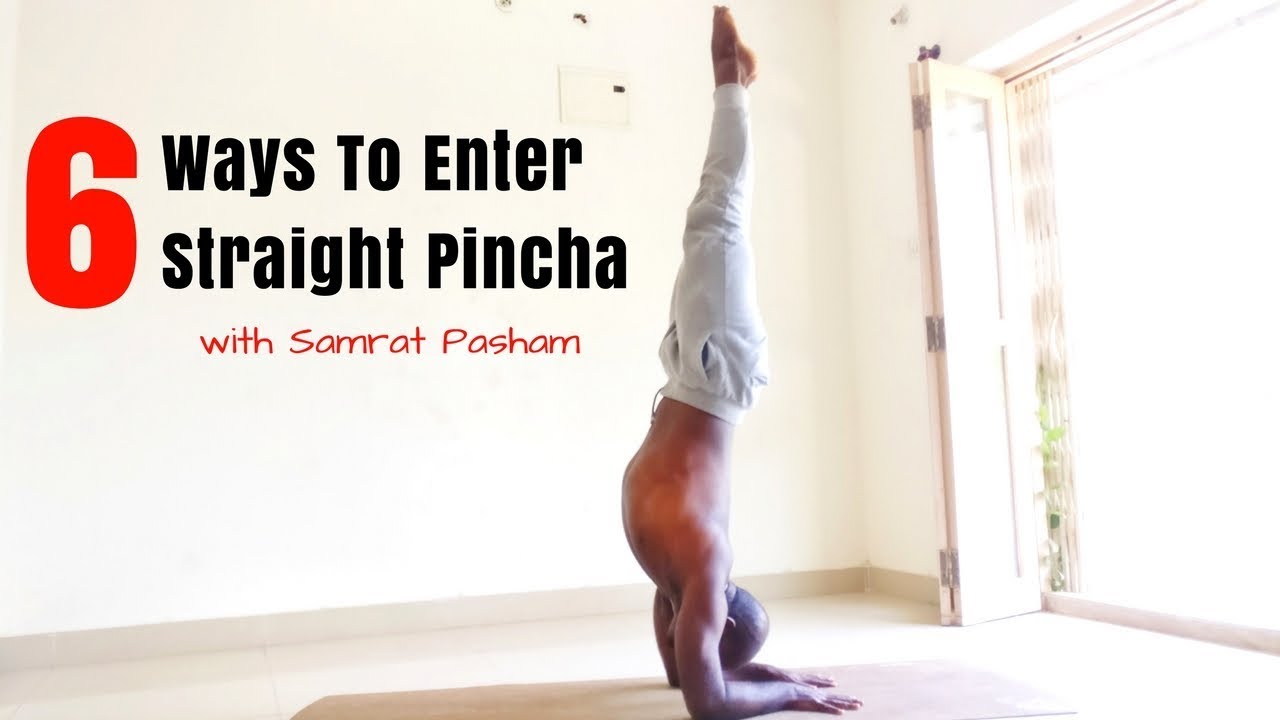 6 Ways To Enter A Forearm Balance Pose (Pincha Mayursana) - Samrat Pasham 