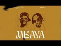 Rapper Tozzy Feat Sani Boy Mbaya Official Audio 
