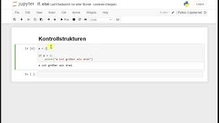 If-Abfrage- Kontrollstrukturen in Python - Grundlagenkurs