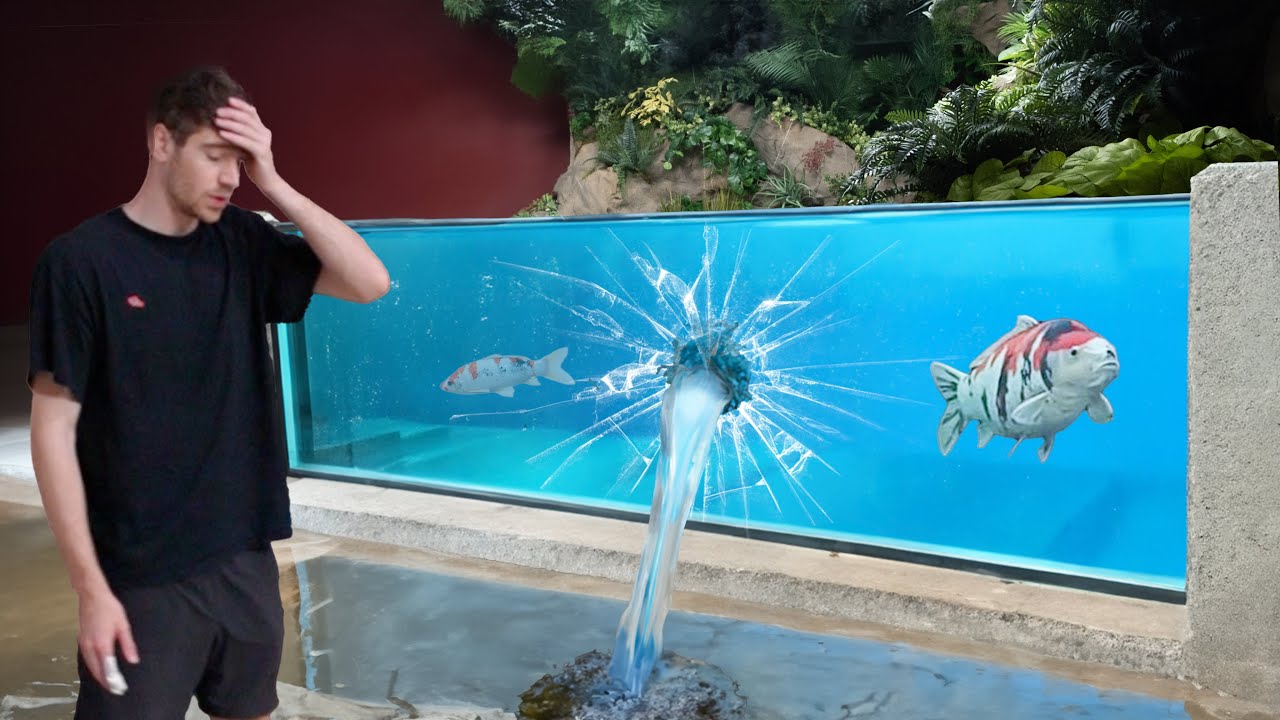 Экосистема в моем подвале (ЗАТОПЛЕНА!)