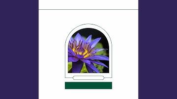 Sublime Backdrops for Work Enjoyment