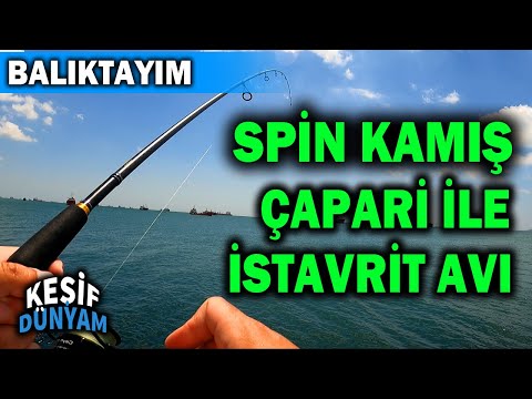 Çapari ile İstavrit