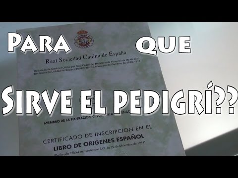 Video: Cómo Comprobar El Pedigrí