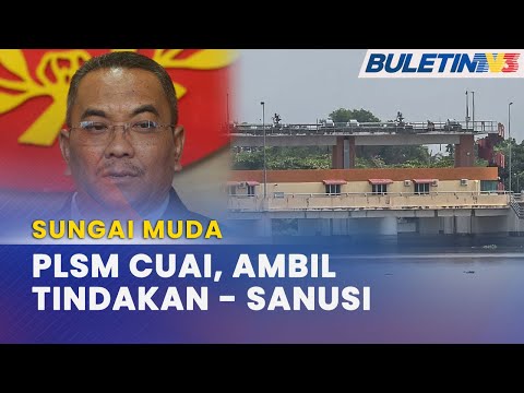 Video: Apa yang dilakukan sungai muda?