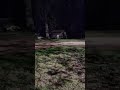 Live highlight
