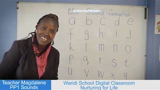 PP1 LANGUAGE LESSON - SOUND FORMATION