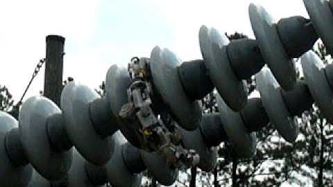 Snake Robot Navigating Insulator