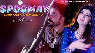 Pashto New Songs 2025 Spogmay Sehrish Khan & Khalid Jahangir New Tapaezy Official Music Video