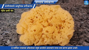 10th Science 2 | Chapter#06 | Topic#05 | प्राणीसंघाचे आधुनिक वर्गीकरण | Marathi Medium