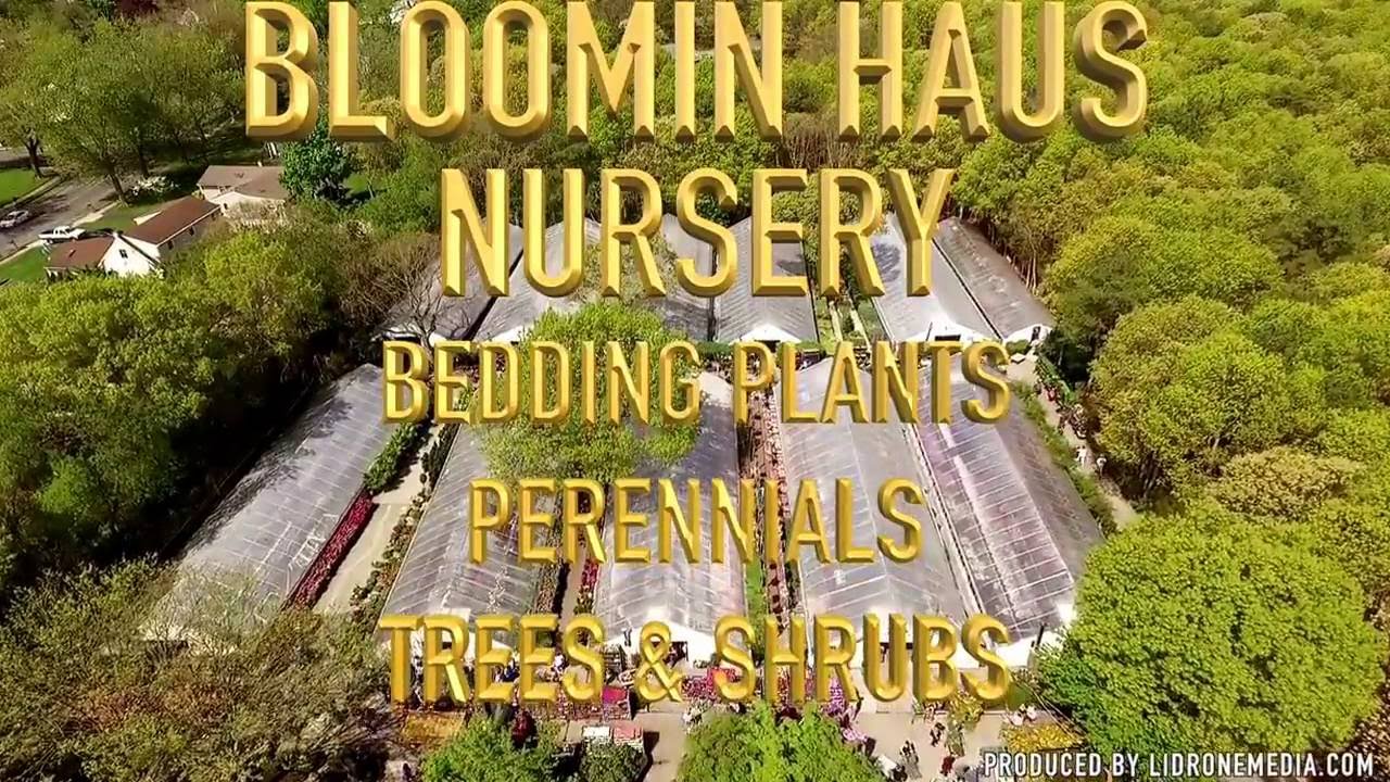 Bloomin Haus Nursery in Holtsville, NY