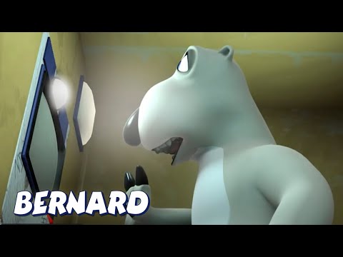 bernard-bear---the-photo-booth