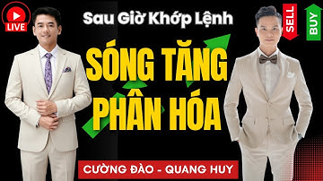 Hồi Phục Hay Chỉ Là Bulltrap? Chiến Lược Hành Động Sau Giờ Khớp Lệnh!