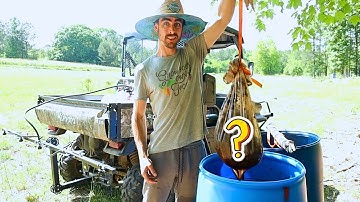 My Solution to the Fertilizer Shortage | KNF & JADAM