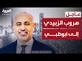 التحالف هـروب عـيـدروس الـزبـيـدي إلـى أبـوظـبـي 