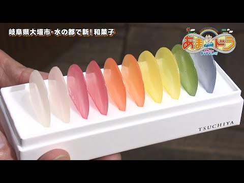 【カラフル和菓子】話題の「みずのいろ」を堪能！  御菓子つちや　俵町本店（岐阜県大垣市）【あまドラ～天野っちのドライブしよう！！～】