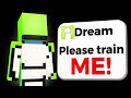 Can I Train Dream To Win $100,000?